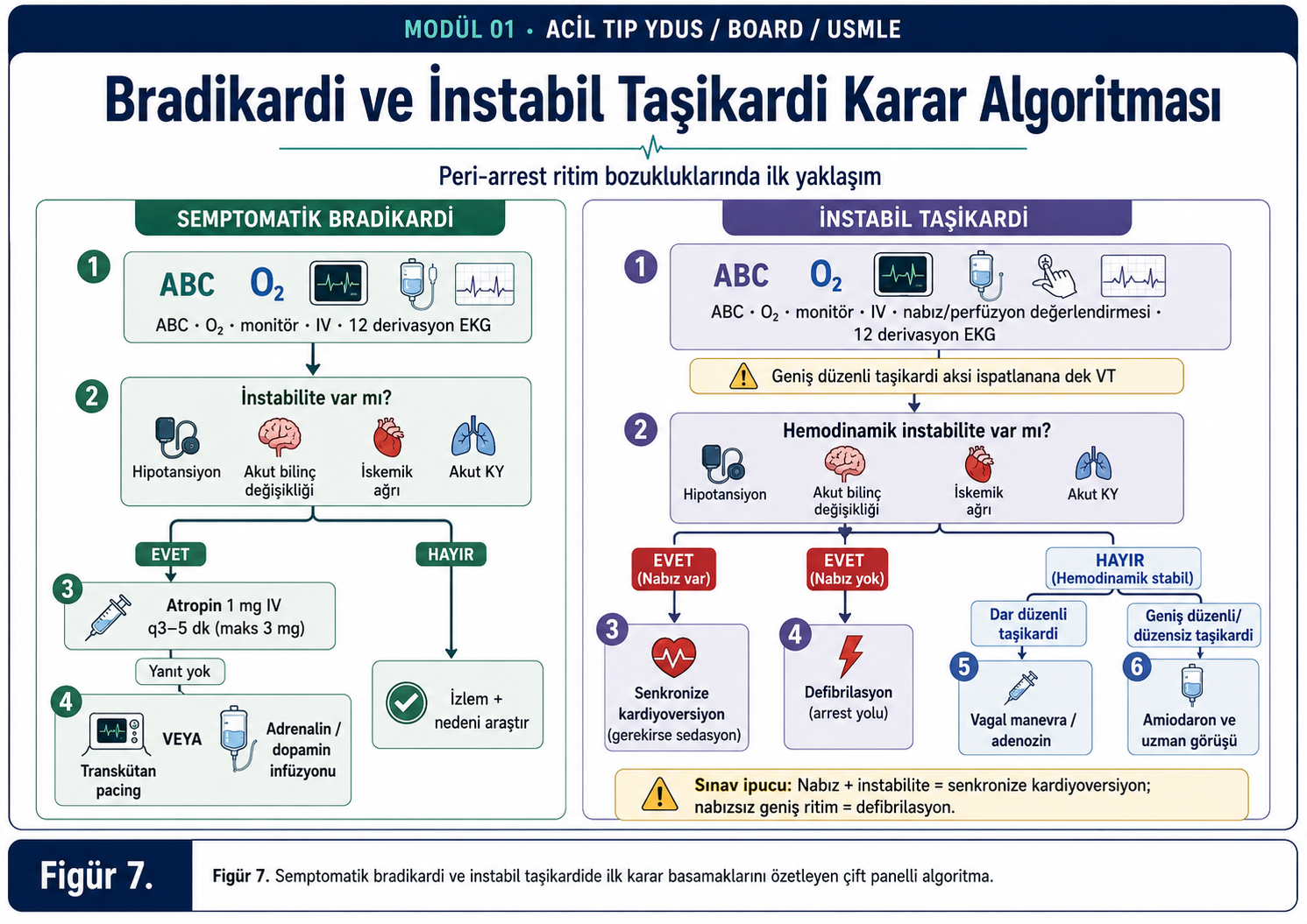 7Acyd