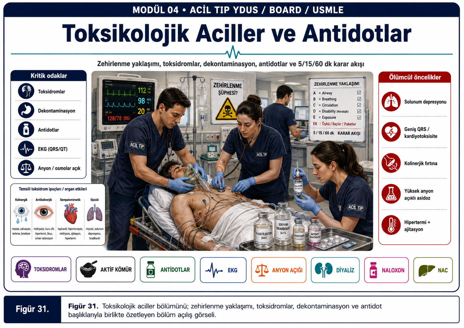 31Acyd