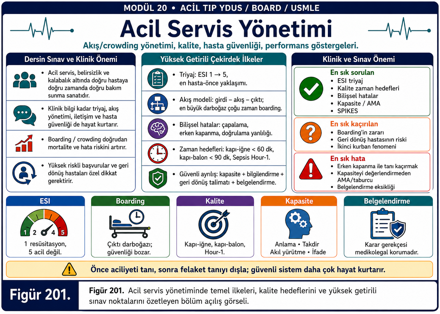 201Acyd